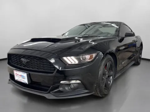 More photos of 2015 Ford Mustang V6 Coupe 2D at DriveMax (Auto Center Sales and Service), MA