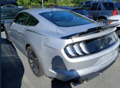 Photos of 2019 Ford Mustang EcoBoost Coupe 2D for sale in West Bridgewater, MA at DriveMax (Auto Center Sales and Service)