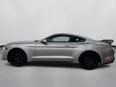 More photos of 2019 Ford Mustang EcoBoost Coupe 2D at DriveMax (Auto Center Sales and Service), MA