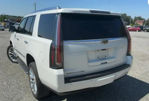 Photos of 2020 Cadillac Escalade Luxury Sport Utility 4D for sale in West Bridgewater, MA at DriveMax (Auto Center Sales and Service)
