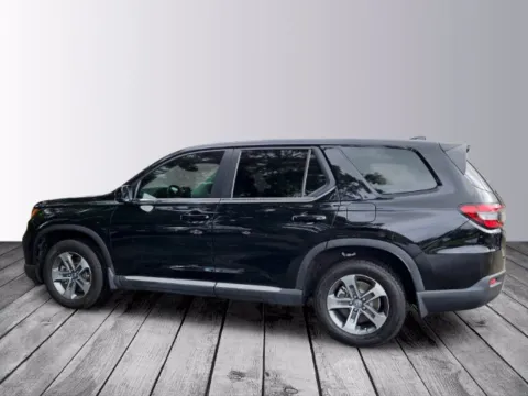 Another view of 2025 Honda Pilot EX-L for sale in Savannah, GA at Southern Motors Honda