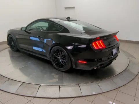 More photos of 2022 Ford Mustang GT Premium at Clement Supercenter Ohio, OH