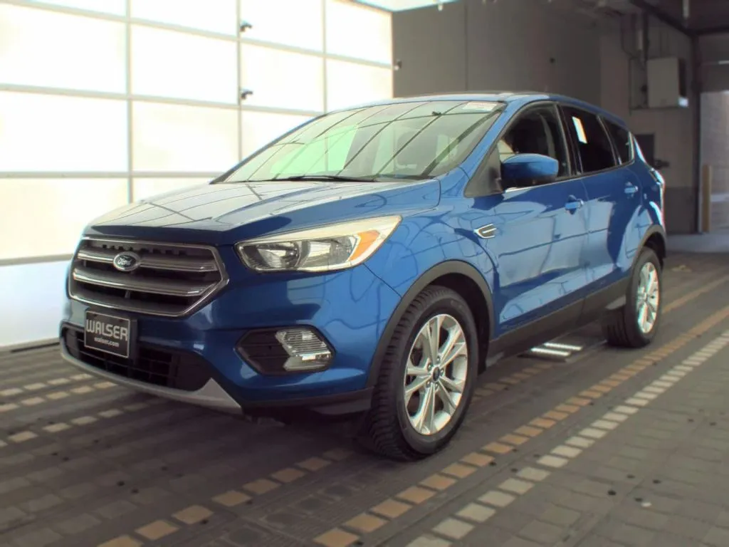 2017 Ford Escape SE Sport Utility 4D for sale in Princeton, MN
