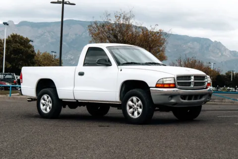 White 2004 Dodge Dakota SLT for sale in Albuquerque, NM