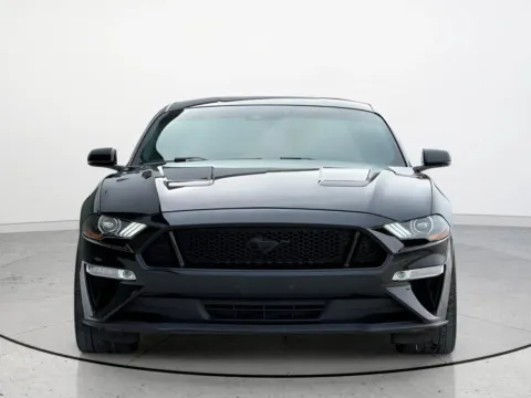 More photos of 2019 Ford Mustang GT Premium at Noblesville Imports, IN