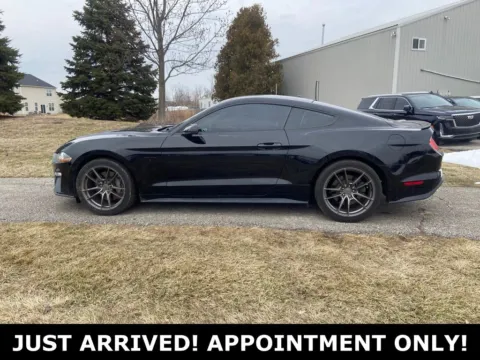 Photos of 2019 Ford Mustang GT Premium for sale in Noblesville, IN at Noblesville Imports
