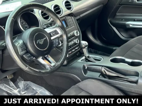 Another view of 2019 Ford Mustang GT for sale in Noblesville, IN at Noblesville Imports