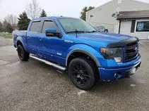 2014 Ford F-150 FX4 for sale in Noblesville, IN