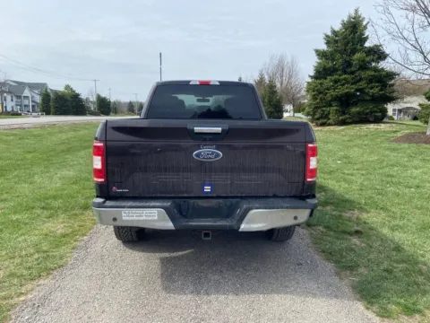 More photos of 2019 Ford F-150 XLT at Noblesville Imports, IN