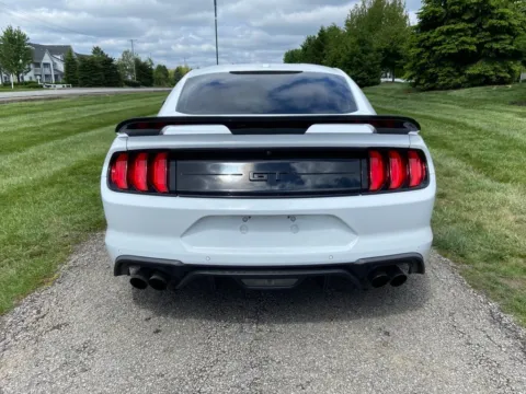 More photos of 2019 Ford Mustang GT Premium at Noblesville Imports, IN