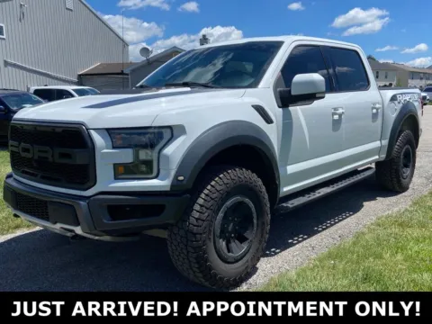 White 2018 Ford F-150 Raptor for sale in Noblesville, IN