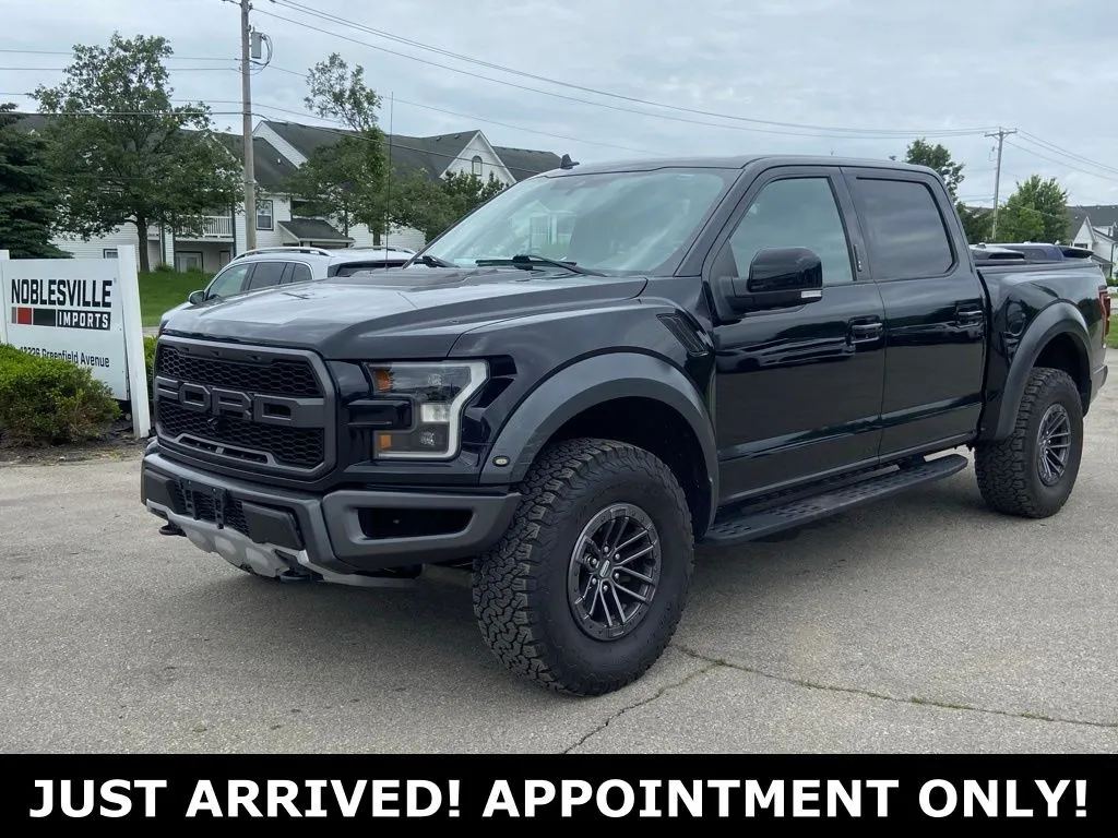 Black 2019 Ford F-150 Raptor for sale in Noblesville, IN