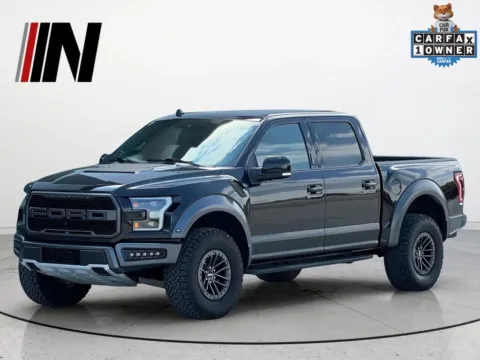 Black 2019 Ford F-150 Raptor for sale in Noblesville, IN