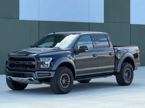 Black 2019 Ford F-150 Raptor for sale in Noblesville, IN