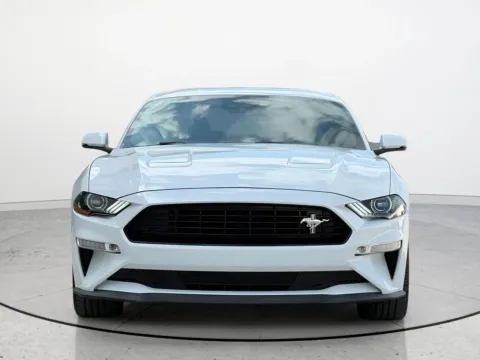 More photos of 2019 Ford Mustang GT Premium at Noblesville Imports, IN