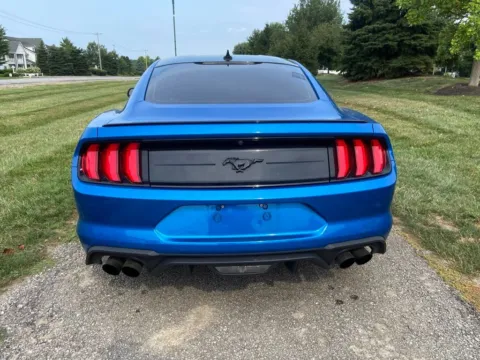 More photos of 2021 Ford Mustang EcoBoost at Noblesville Imports, IN