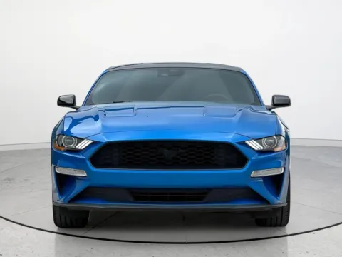 More photos of 2021 Ford Mustang EcoBoost at Noblesville Imports, IN