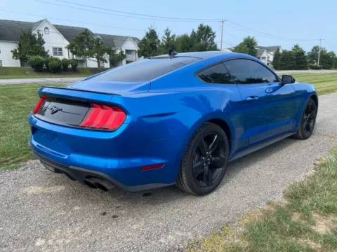 More photos of 2021 Ford Mustang EcoBoost at Noblesville Imports, IN