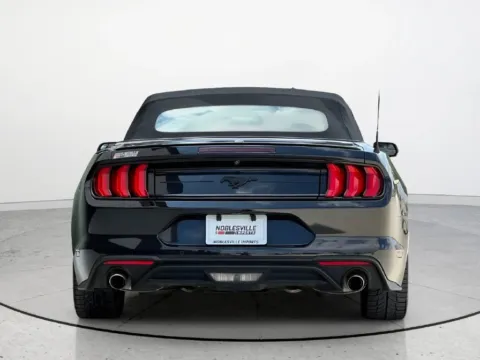 More photos of 2018 Ford Mustang EcoBoost Premium at Noblesville Imports, IN