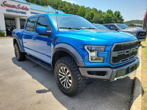 Another view of 2019 Ford F-150 Raptor for sale in Pelham, AL at Susan Schein Automotive - Pelham