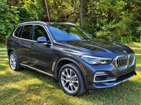 Another view of 2019 BMW X5 xDrive40i for sale in Pelham, AL at Susan Schein Automotive - Pelham