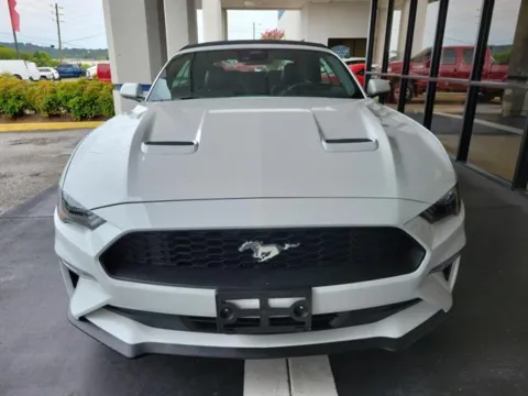 Photos of 2023 Ford Mustang EcoBoost for sale in Pelham, AL at Susan Schein Automotive - Pelham