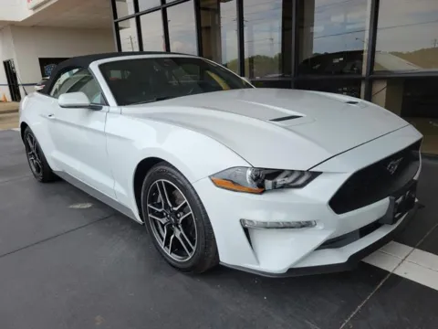 Another view of 2023 Ford Mustang EcoBoost for sale in Pelham, AL at Susan Schein Automotive - Pelham