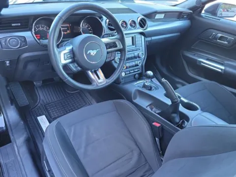 Photos of 2017 Ford Mustang GT for sale in Pelham, AL at Susan Schein Automotive - Pelham