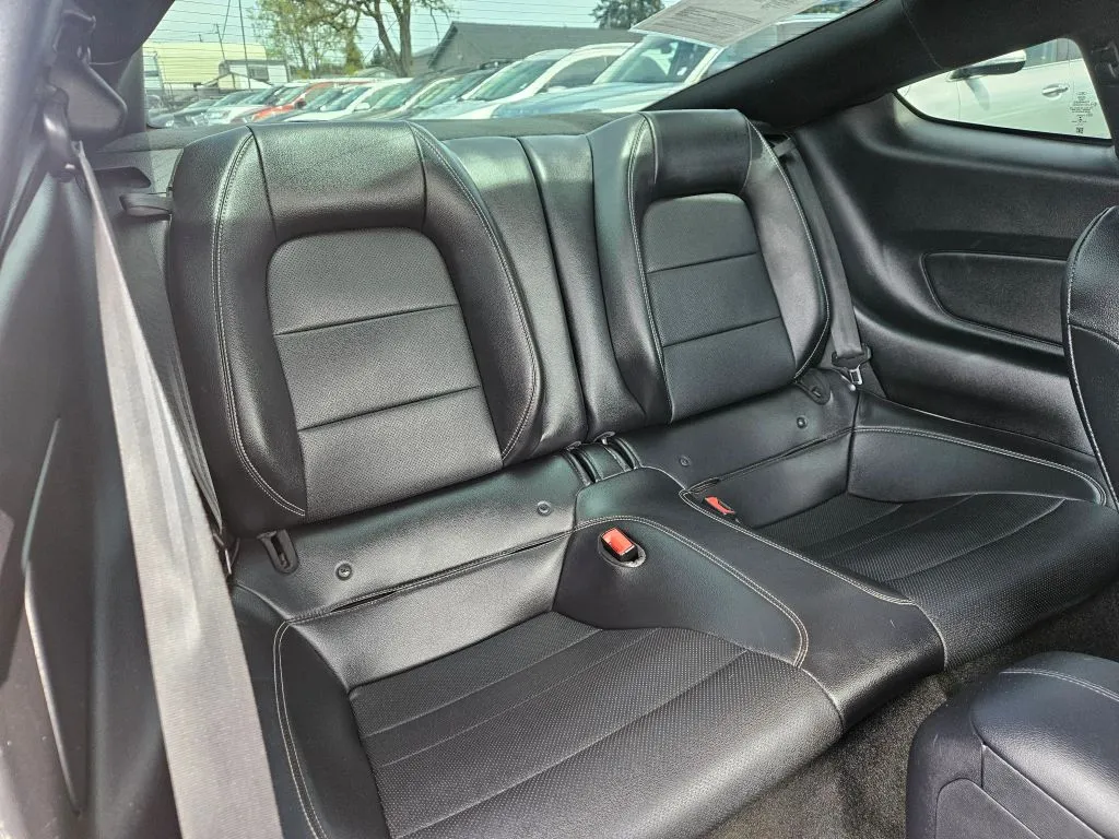 2019 Ford Mustang GT - Photo 10