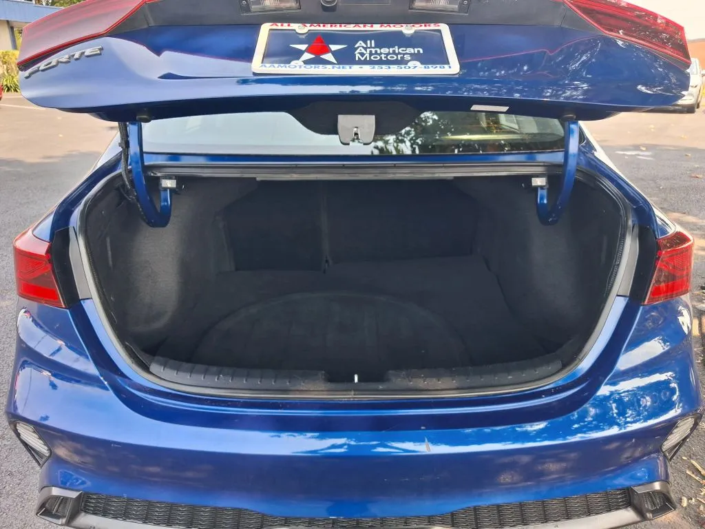 Kia Forte photo 12
