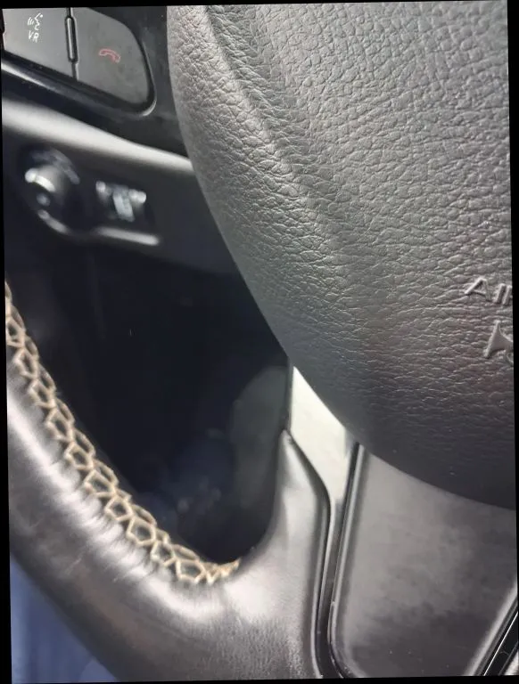 Chrysler Pacifica photo 25