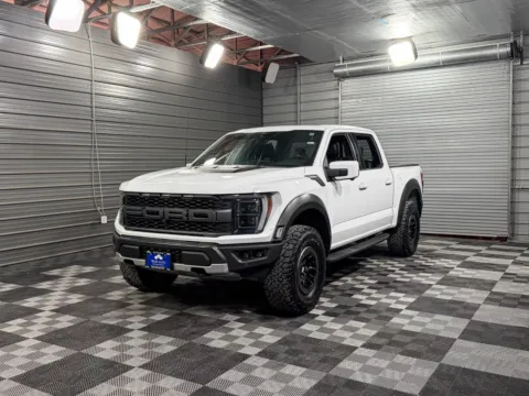 Gray 2022 Ford F-150 Raptor for sale in Sykesville, MD