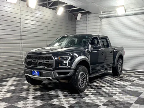 2019 Ford F-150 Raptor for sale in Sykesville, MD