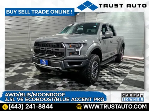 Gray 2020 Ford F-150 Raptor 4WD SuperCrew Ecoboost Pickup Truck for sale in Sykesville, MD
