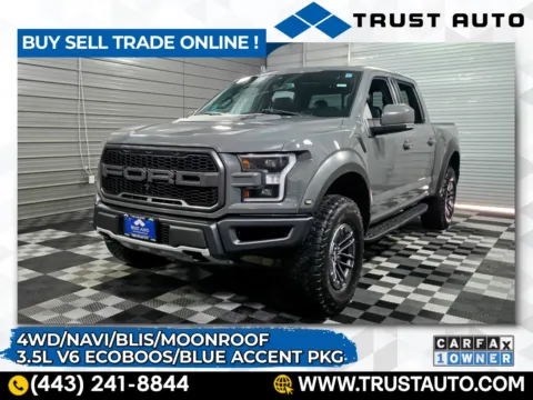 Gray 2020 Ford F-150 Raptor 4WD SuperCrew Ecoboost Pickup Truck for sale in Sykesville, MD