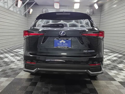 More photos of 2019 Lexus NX 300h at Trust Auto, MD