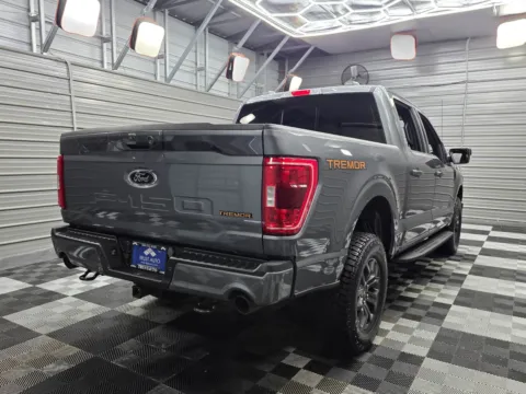 More photos of 2023 Ford F-150 Platinum at Trust Auto, MD