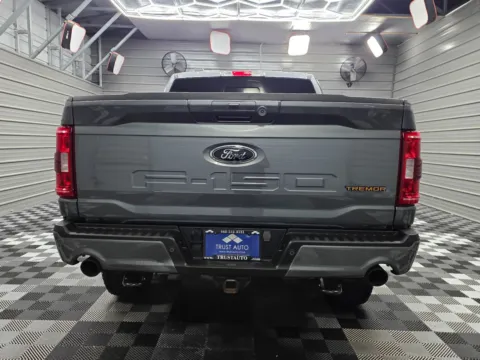 More photos of 2023 Ford F-150 Platinum at Trust Auto, MD