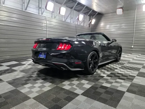 More photos of 2019 Ford Mustang EcoBoost at Trust Auto, MD