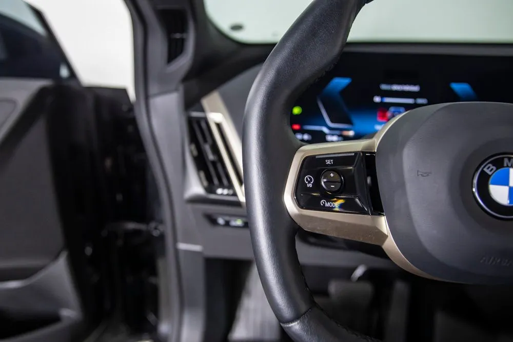 BMW iX photo 34