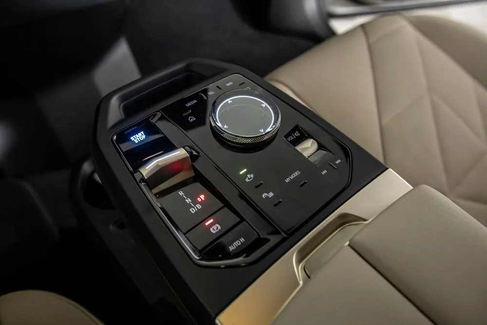 BMW iX photo 32