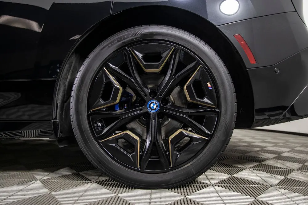 BMW iX photo 38