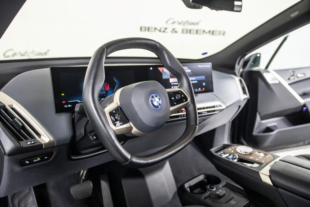 BMW iX photo 19