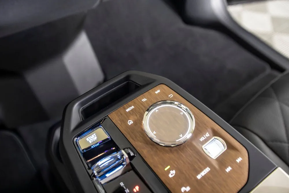 BMW iX photo 31