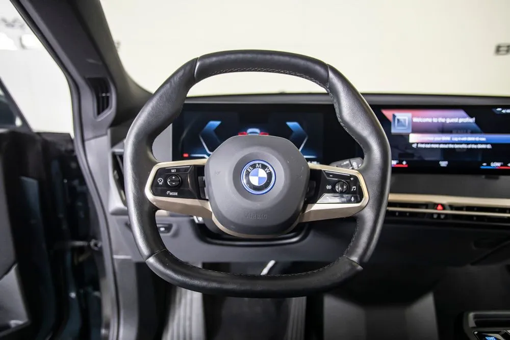 BMW iX photo 26
