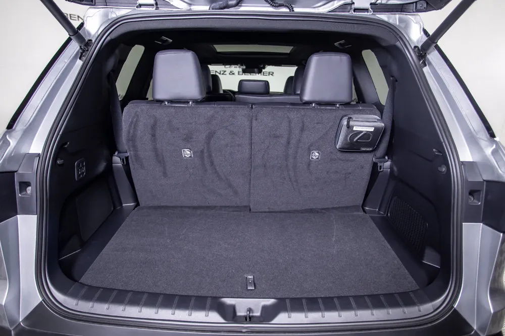 Lexus TX photo 9