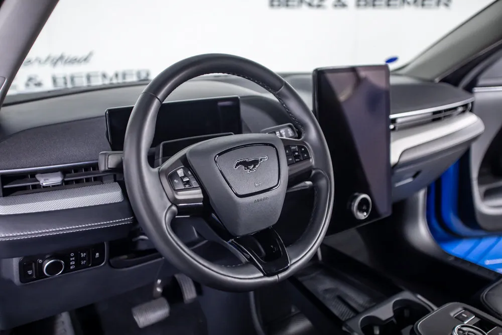 Ford Mustang Mach-E photo 21