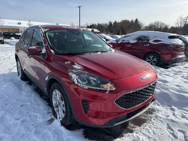 2020 Ford Escape SE's photo