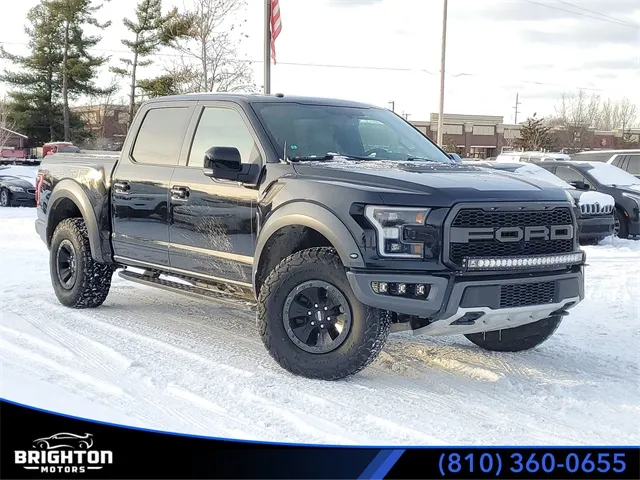 Black 2018 Ford F-150 Raptor for sale in Brighton, MI