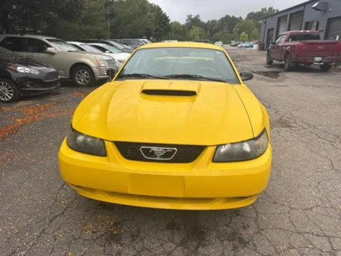 Photos of 2004 Ford Mustang V6 for sale in Brighton, MI at Brighton Motors